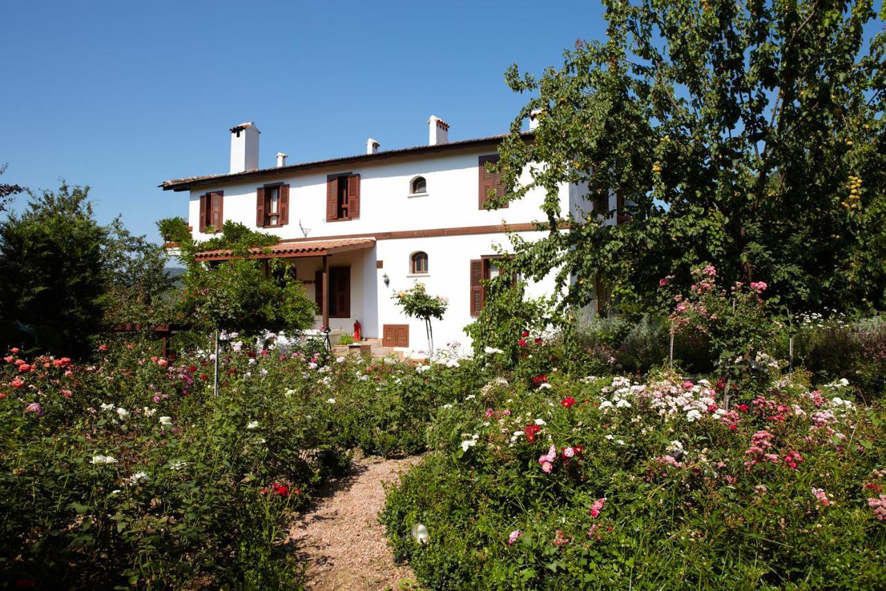 Gullu Konaklari Selcuk Exterior photo